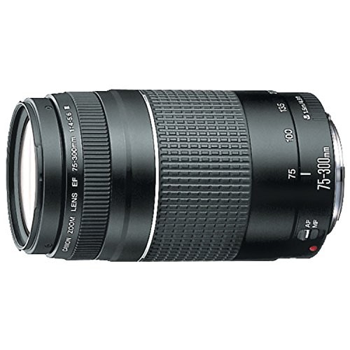 Телеобъектив Canon EF lens EF75-300mm F4-5.6 III с зум-объективом