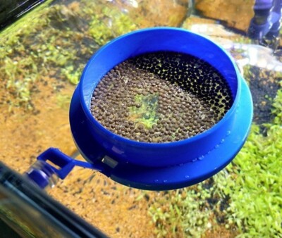 PREMIUM Fish Feeding Ring High Wall Floating Food Feeder (Square+Round) 2PACK