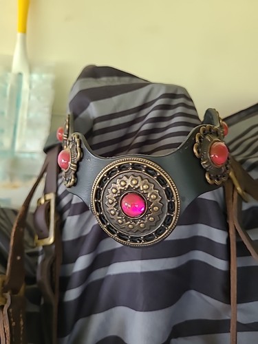 Adjustable Western Headstall With Lagat Browband - Picture 2 of 5