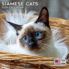 Siamese Cats Calendar 2026 - Cute Animal Wall Calendar - Made in the USA!