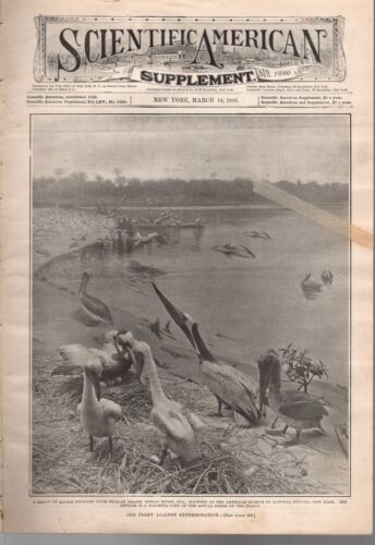 1908 Scientific American Supp March 14-Recent aeroplanes; Birds to be extinct - Afbeelding 1 van 1