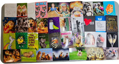 Avanti Greeting Cards, Birthday, Be Well, Congrats, Anniversary, Valentines etc