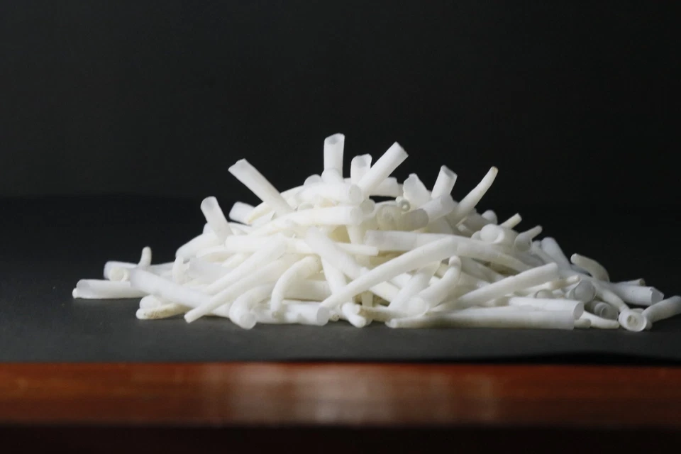 dentalium shells 2.2 lbs. - Image 4 of 4