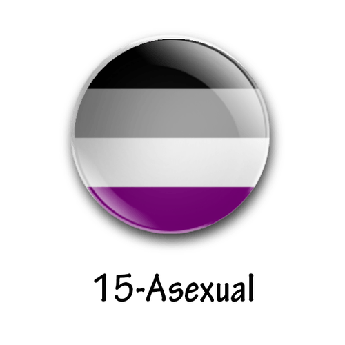 The Original LGBT/LGBTQIA+ 25mm/1 Inch Pride Flag Badges (81 To Choose From) Gay - Picture 16 of 82