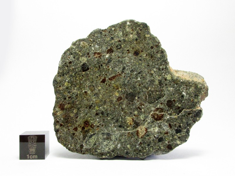 NWA 17326 Dio 19.98g Full Slice of a Polemic Diogenite Meteorite 