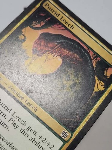 Magic the Gathering | Alara Reborn | MTG Single Cards, Pick Yours! - Picture 129 of 199