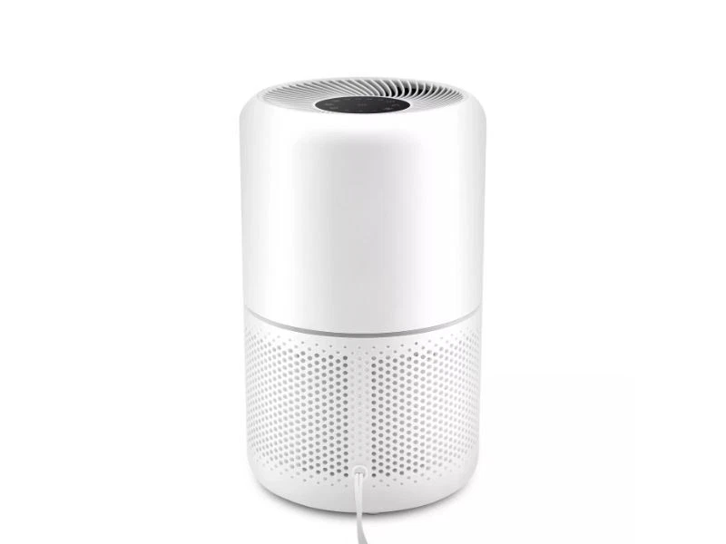 Ebay levoit 2024 air purifier