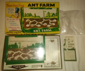 vintage ant farm