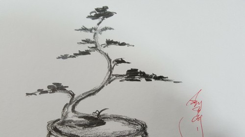 100% Original print sketch pencil drawing Bonsai tree Juniper by OK artist KONG2 - Picture 4 of 12