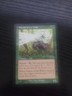 Patron of the Wild #134 (NM) Legions LGN Magic MTG
