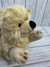 Steiff  American Kennel Club EAN 669057 Pomeranian Puppy Plush No Collar 2007