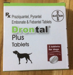 drontal bayer dog