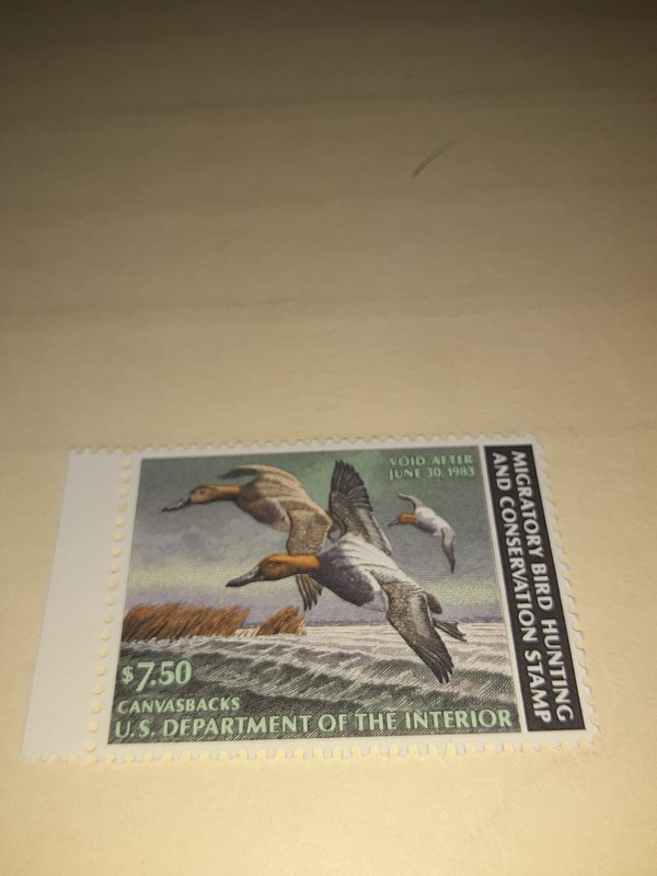 SL 2176/ US Stamp MNHOG RW 49 Duck Stamp us stamps collections lots