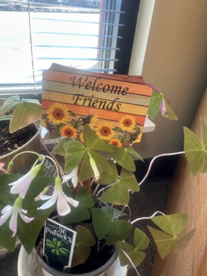 Cute Sunflower Plant Stake for Indoor House Plants - "Welcome Friends" |  eBay