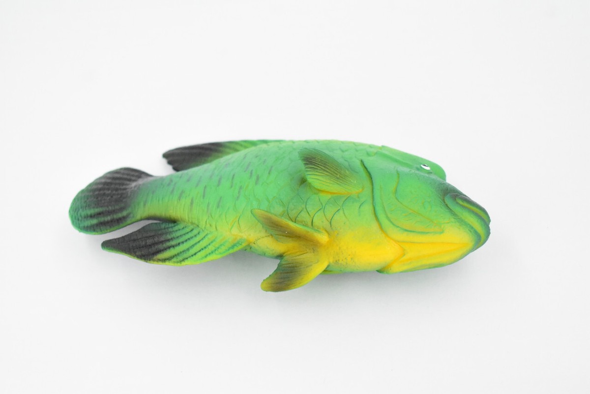 Green Humphead Wrasse Fish, Realistic Toy Figure, Model Green Humphead Wrasse Fish, Realistic Toy Figure, Model