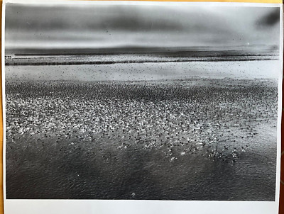 Margaret Bourke-White Vintage Aerial Photograph LIFE Magazine 1957 USA 40x50 cm