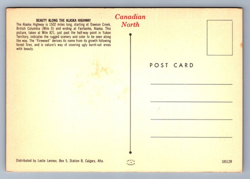 Postcard Vintage Fireweed Floral Emblem Of The Yukon Along Alaska Highway 4x6 - Picture 2 of 2