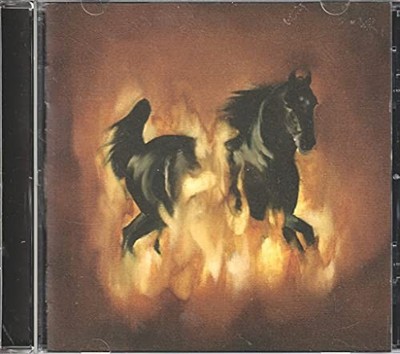 Besnard Lakes - The Besnard Lakes Are The Dark Horse - Besnard Lakes CD CAVG The