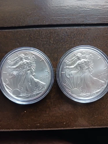 Lot Of 2 - 1oz BU Walking Liberty Silver Dollars