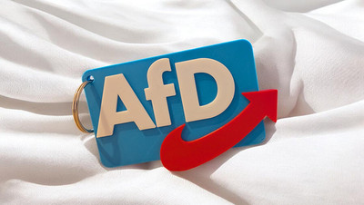 AfD | Schlüsselanhänger | NEU | Alice Weidel | Alternative für Deutschland 3D