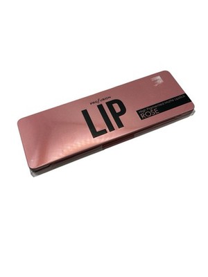 Profusion LiP High Pigmented Matte Lipstick 8 Colors Palette Rose Mirror Brush