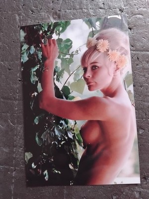 a.o5° ELKE SOMMER ° SCHAUSPIELERIN ° 2 FOTOs 10X15 ° SAMMLUNG °