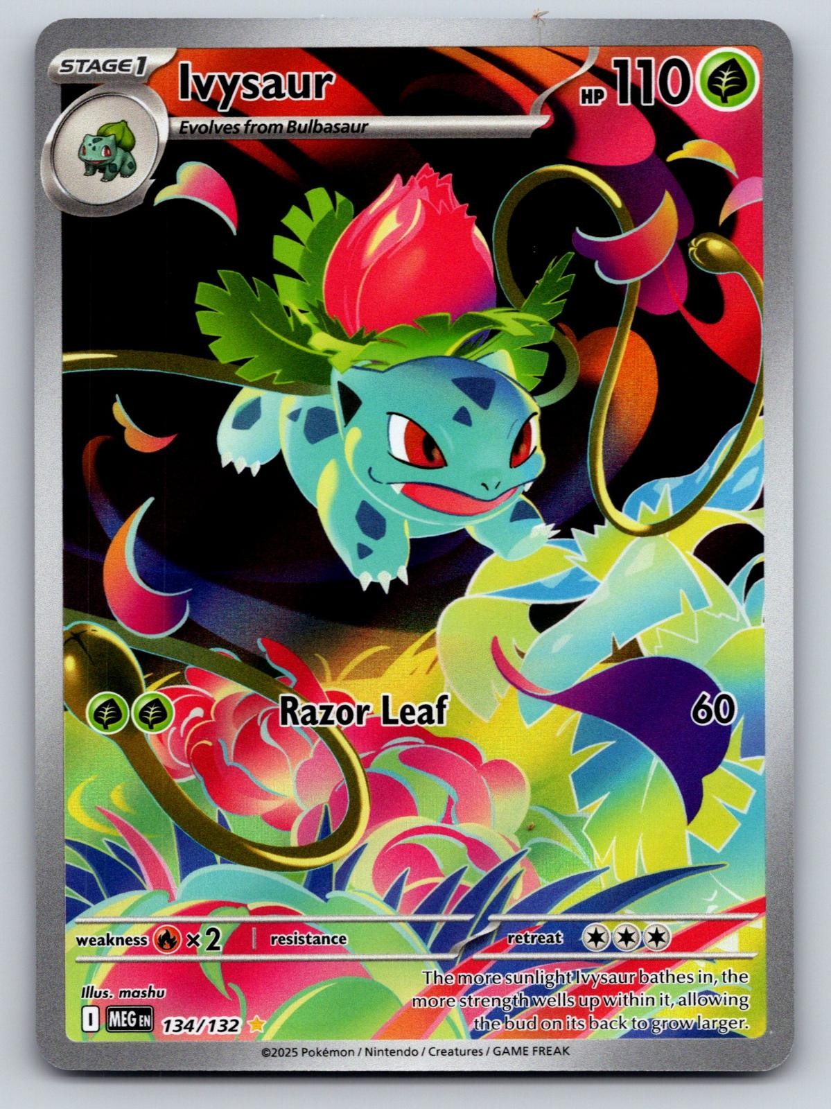 Ivysaur 134/132 Illustration Rare Mega Evolution Pokemon Holo Near Mint