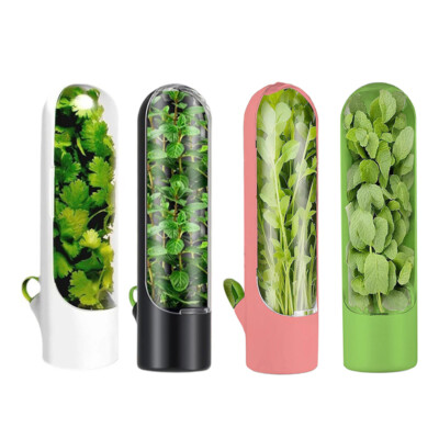  Vegetable Saver Box 1/2/3PCS Herb Saver Storage Container Refrigerator Kitchen