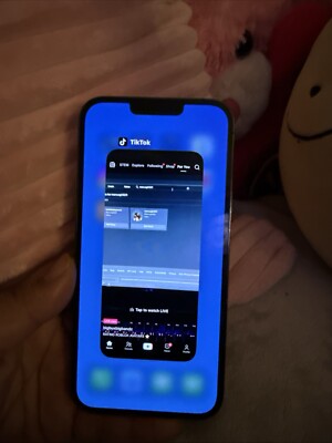iPhone 13 ProMax With TikTok/capcut