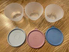 Tupperware Round Storage Container with Lids