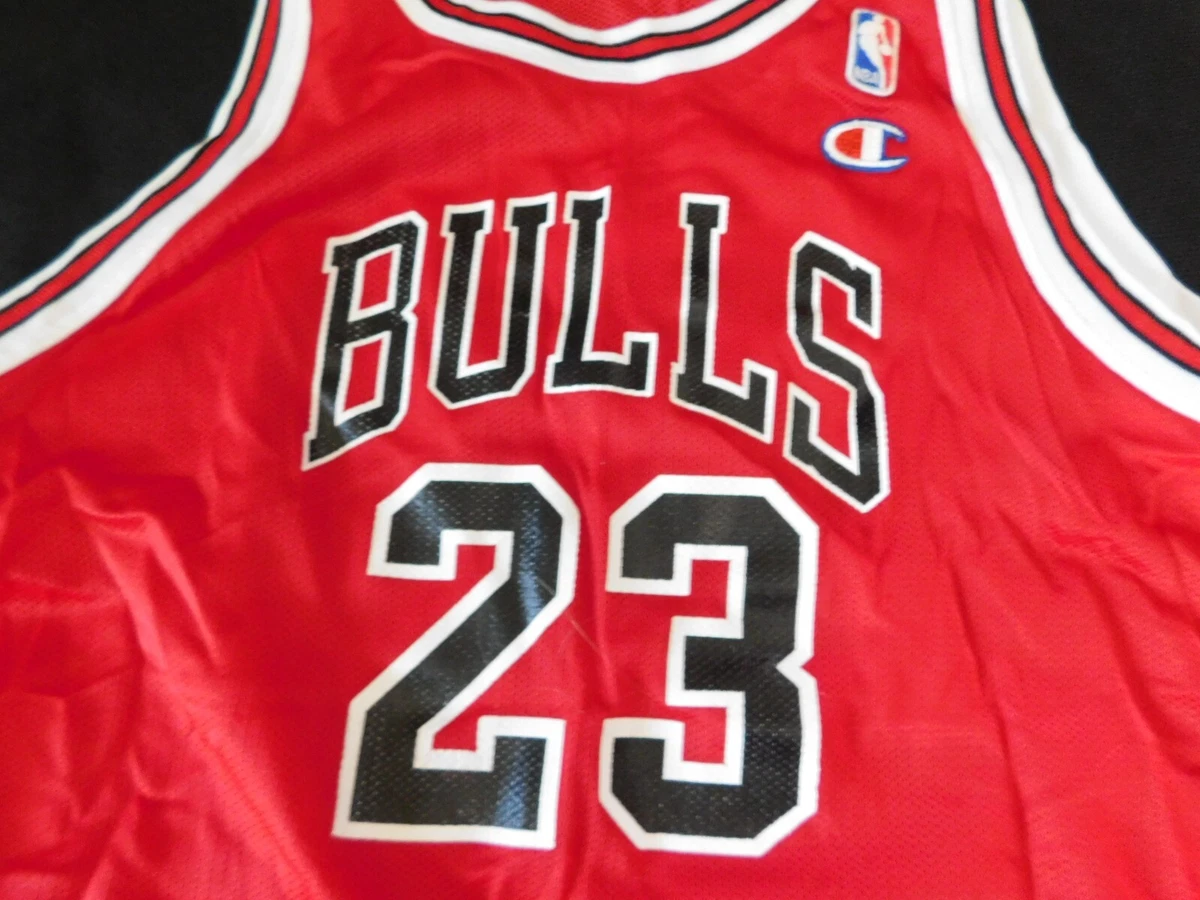 Vintage Michael Jordan Chicago Bulls Jersey L – Laundry