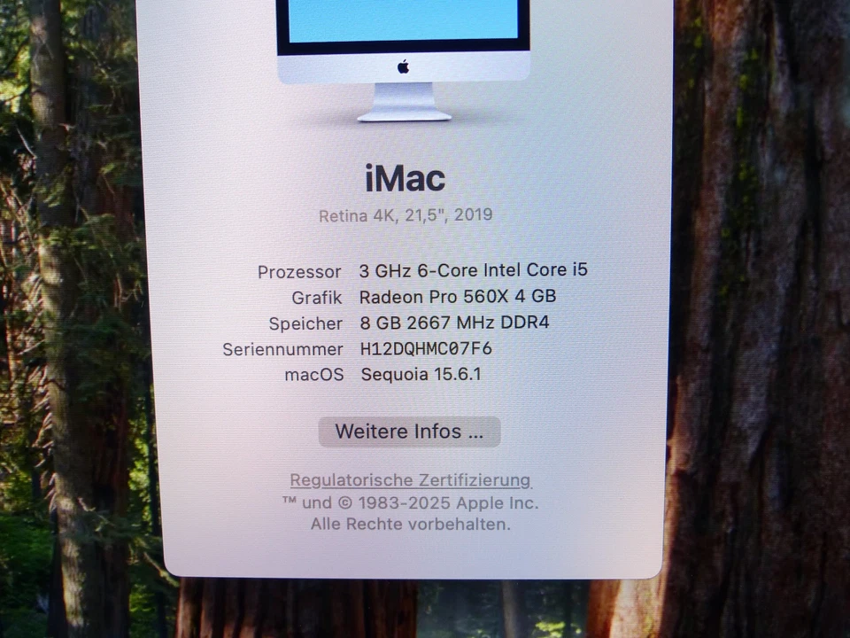 Apple iMac Retina 4K 21,5" 21,5 Zoll 3,0 GHz i5 8GB 1TB 2019 A2116 MWST #12 FA - Bild 3 von 4