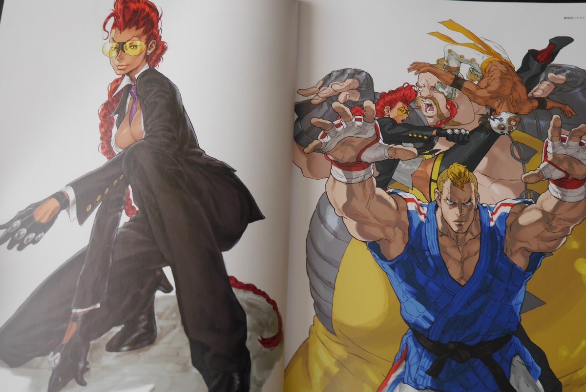 Super Street Fighter IV: Official Complete Works from Japan