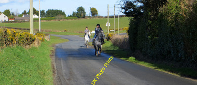 Photo 12x8 At the trot Groomsport Horse-riders enjoy a ride in the early s c2016