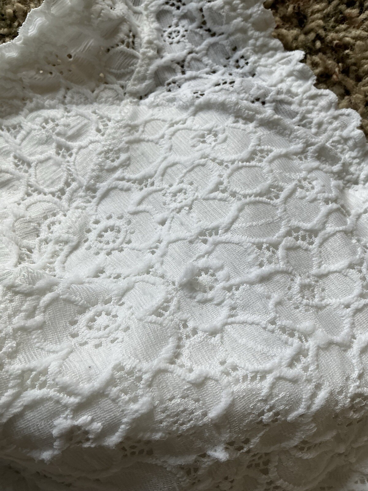 Picture 5 of 12