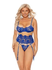 Elegant Moments Queen Embroidered Lace Mesh Bra Set Royal Blue