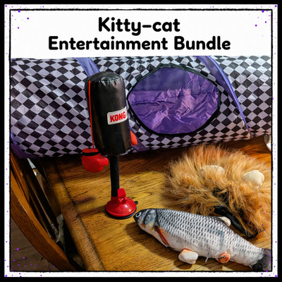 Purrfect Playtime Cat Bundle   4 Piece Fun Pack - Very gently Used