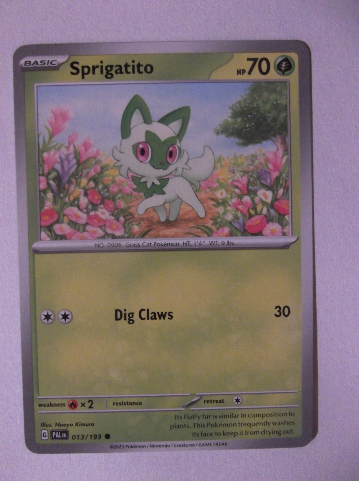 129PK013 - Sprigatito - 13/193 - Paldea Evolved (PAL)  - Common