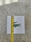 Lacoste Watch Jewlery Gift Storage Box — photo 6