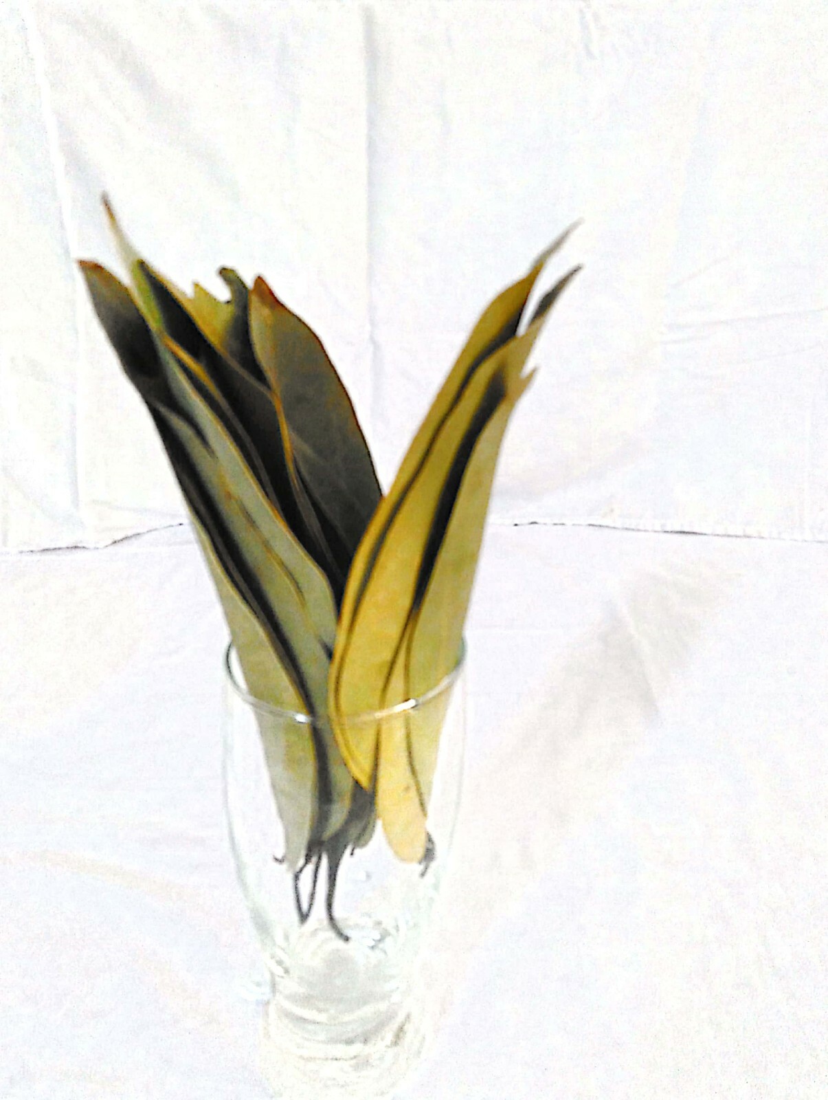 Ceylon Cinnamon sun dried leaves,Tej patta,Indian bay leaves,Organic Natural Her