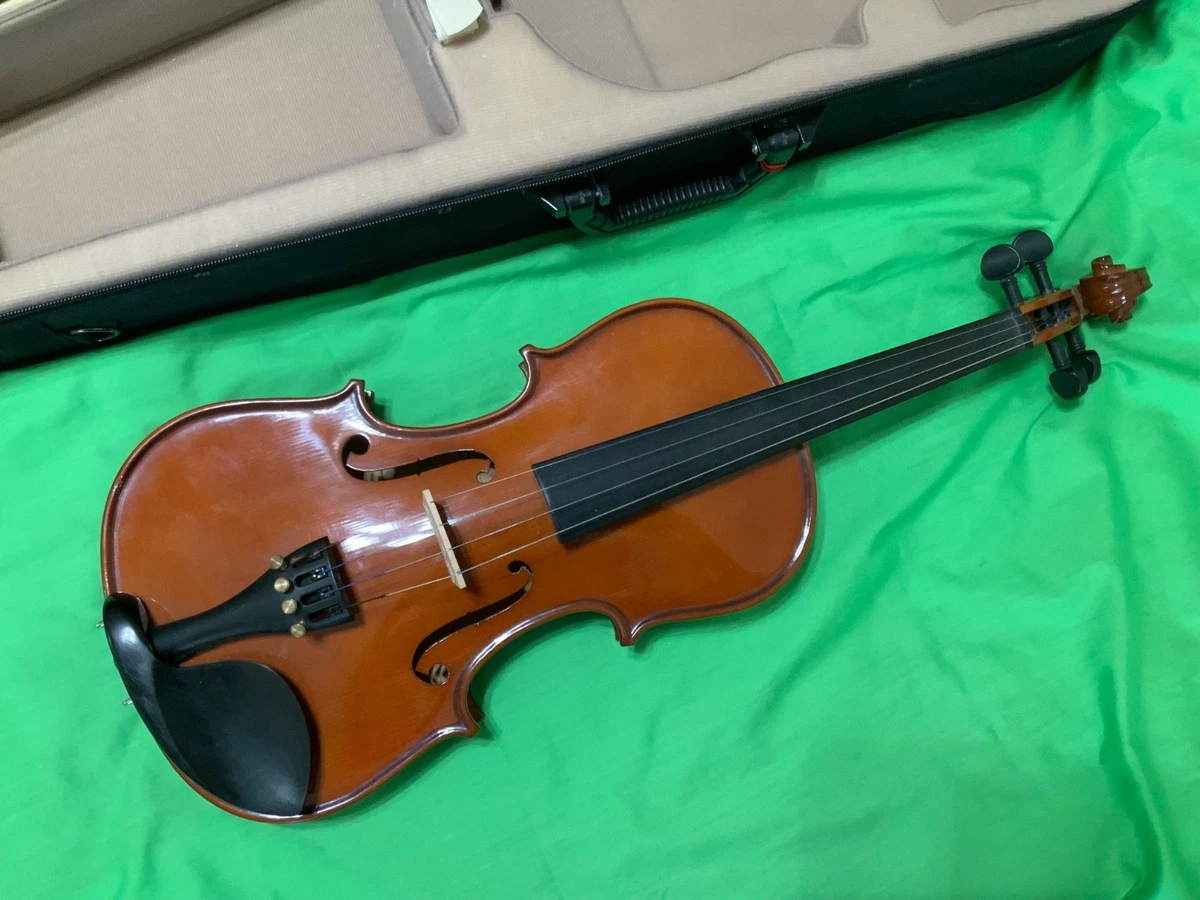 Palatino Violins eBay for sale - ⁄ (弦楽器) の落札 「パラティーノ