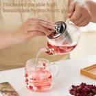 Borosilicate Glass Teapot 20 oz with Removable Infuser - Clear Tea Pot