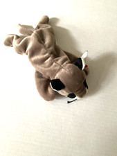 TY Beanie Baby Canyon The Cougar Date of Birth May 29, 1998 New