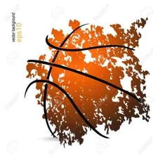 MULTIPLE YEARS OF HOOPS BASKETBALL BASE AND INSERTS "PICK FROM LIST*