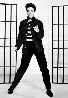 Großes A3 Elvis Presley Poster (brandneu)