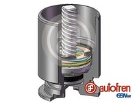 Autofren Seinsa D025122LK Kolben Bremssattel Ø 38Mm Hinten FüR Mondeo Iii