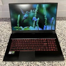 MSI 17.3" (512GB, Intel Core i5-10300H, 2.60GHz, 8GB) Laptop - Black - 10SCXR