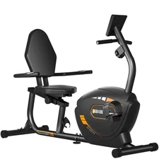 Recumbent Exercise Bike for Adults Seniors - Indoor Magnetic Cycling Fitness ...