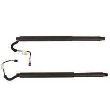 2Pcs Rear Left Right Power Lift Gate Cylinder Struts For 2015-2019 Nissan Mura