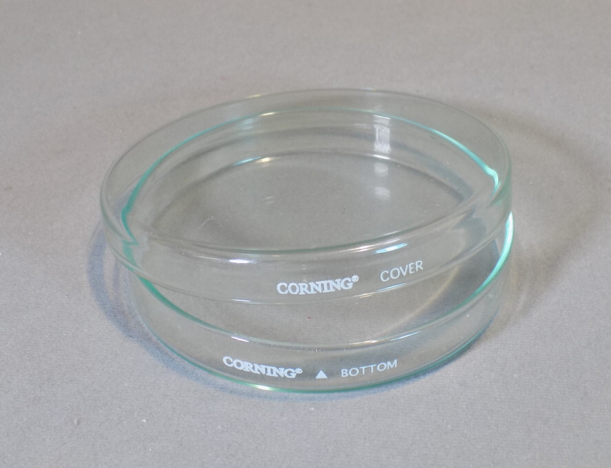 New Corning Glass 100 x 15 mm Petri Dish Top and Bottom # 70165-101